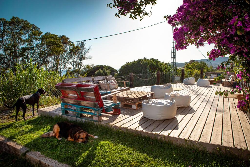 a dog laying in the grass next to a wooden deck at Wild House Tarifa in Tarifa