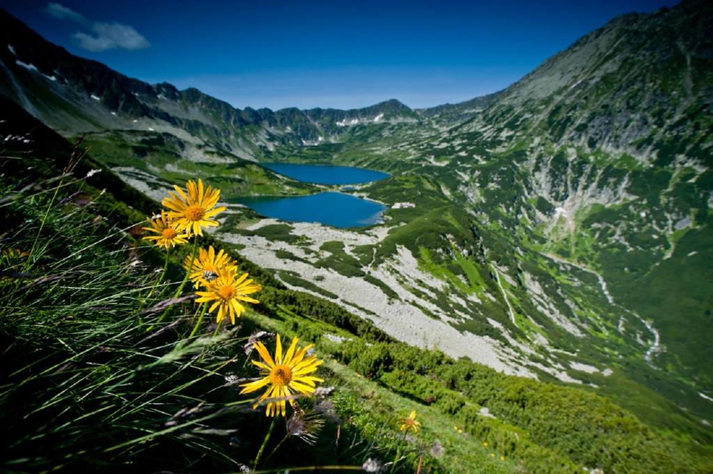 Príroda v okolí apartmánu