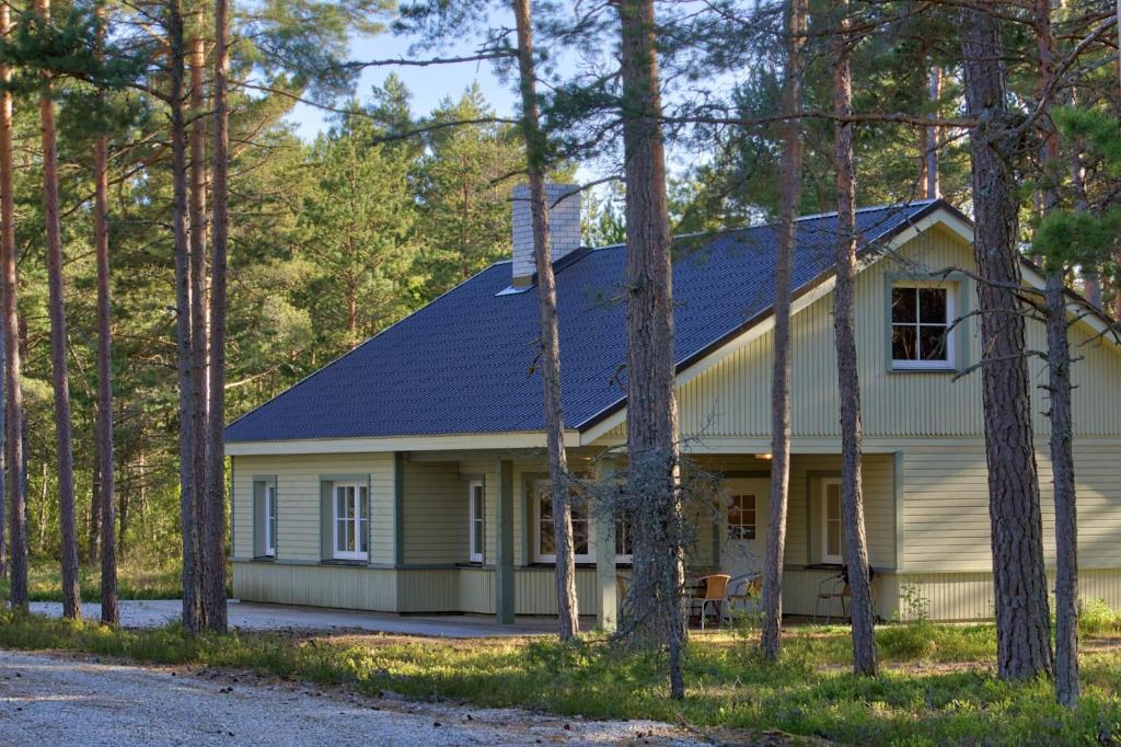 una casa con un tetto blu nel bosco di Roostasalu Holiday home a Noarootsi