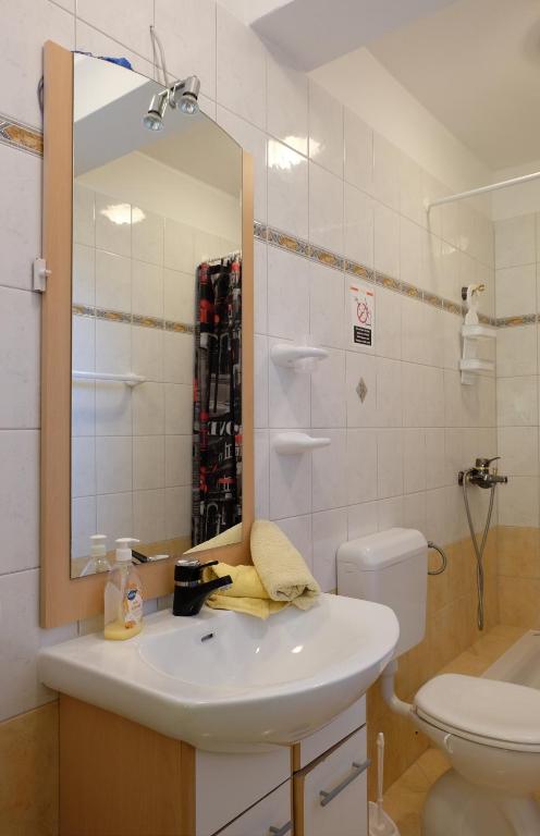 Koupelna v ubytování Apartman Precca