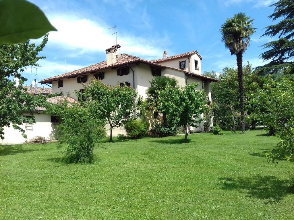 uma grande casa branca com uma palmeira num quintal em Villa Della Stua em Cormòns