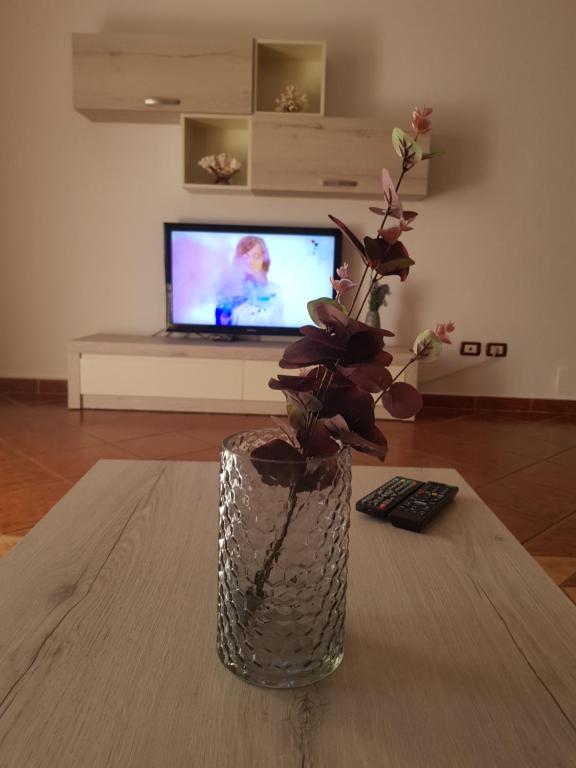 a vase with flowers sitting on a table in front of a television at Big apartment in Orikum