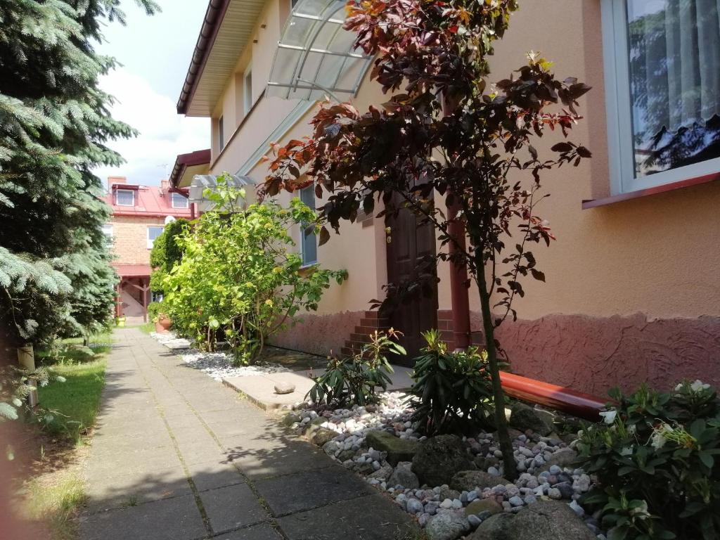 un pequeño árbol frente a una casa en MV Apartamenty Komfort, en Augustów