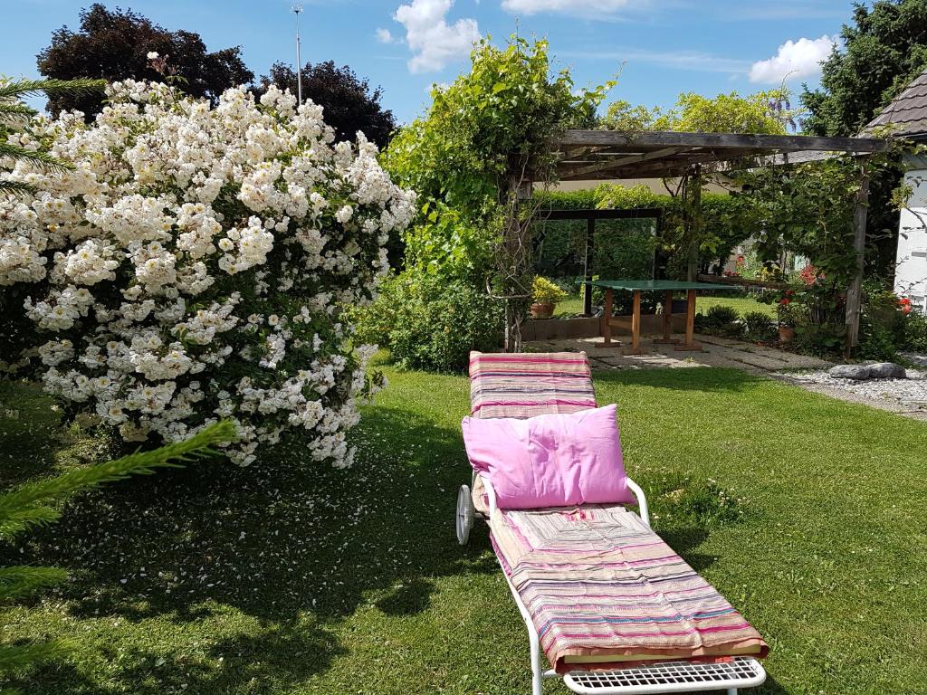 Zahrada ubytování BnB Seaview