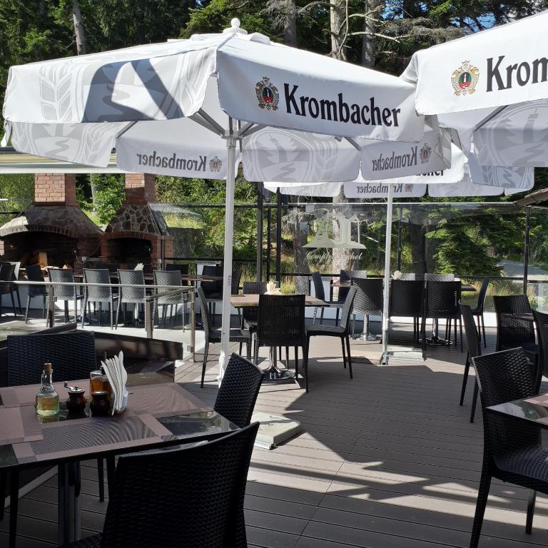 Restaurace v ubytování Complex Cochet