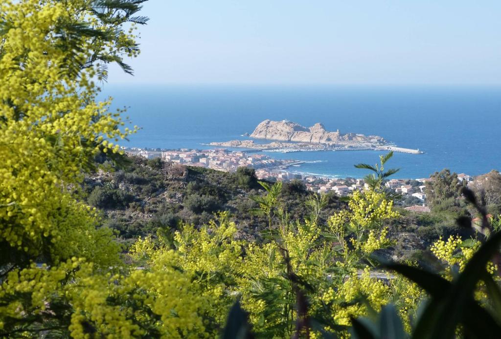 a view of an island in the ocean with trees at Vista di Sognu in Monticello