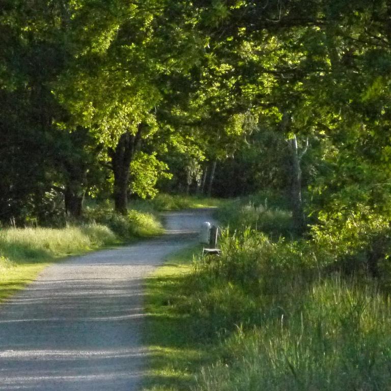 Hotel und Gästehaus Will - Resim 11