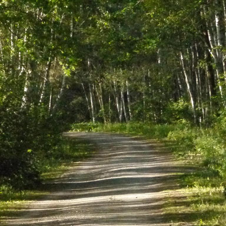 Hotel und Gästehaus Will - Resim 10