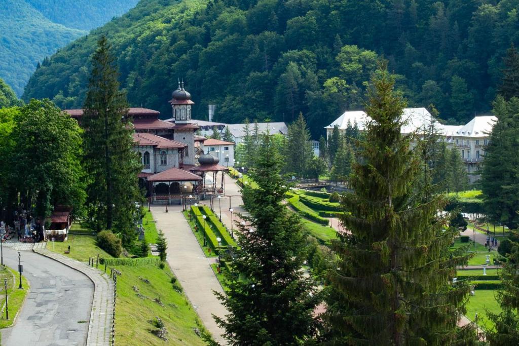 Imagine ilustrativă cu un peisaj natural