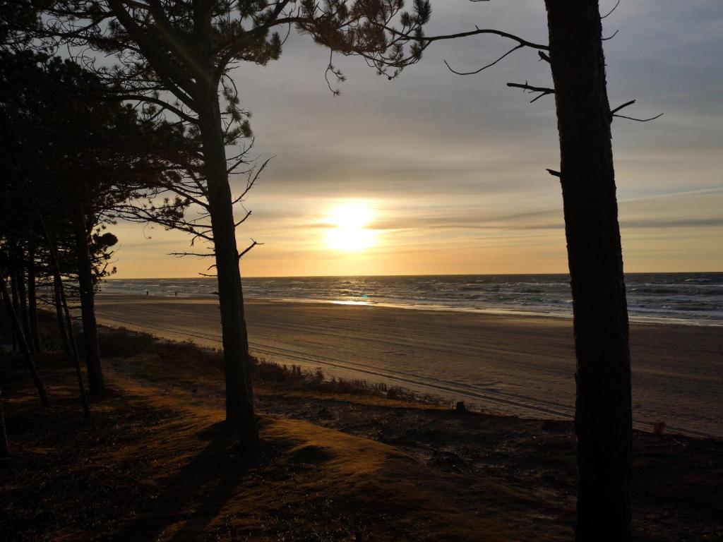 Rivabell, Ostrowo (updated prices 2025) - 18