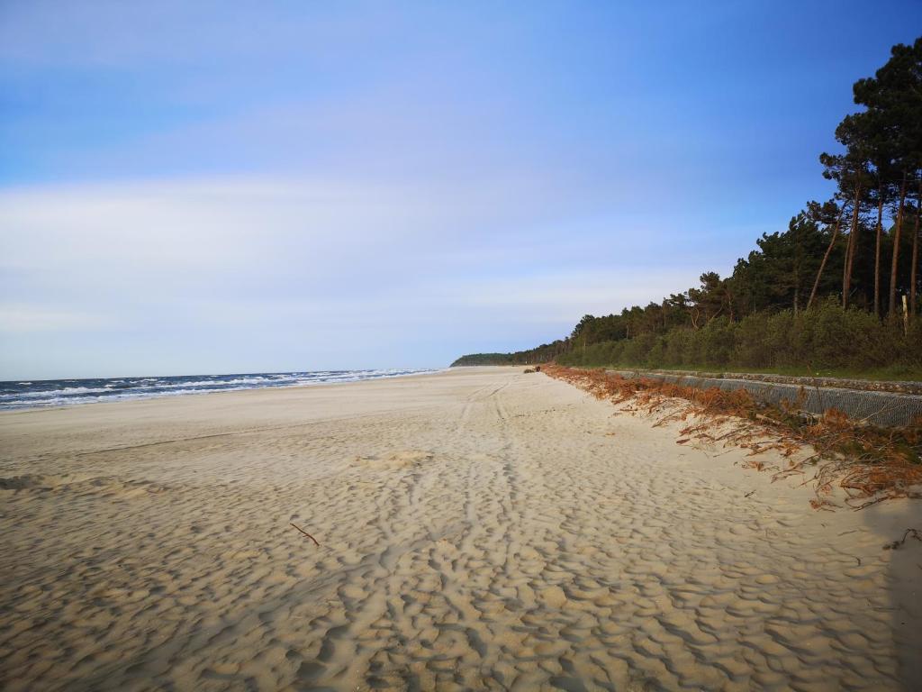 Rivabell, Ostrowo (updated prices 2025) - 14