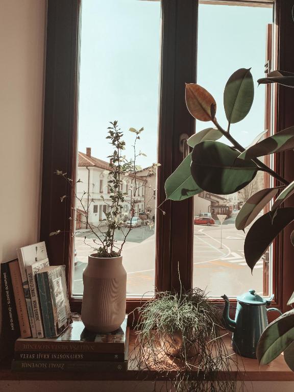 Knihovna v apartmánu