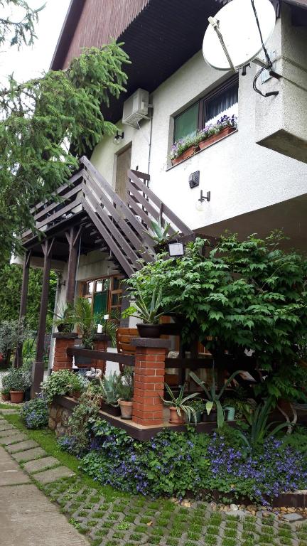 Zahrada ubytování Agave Apartman
