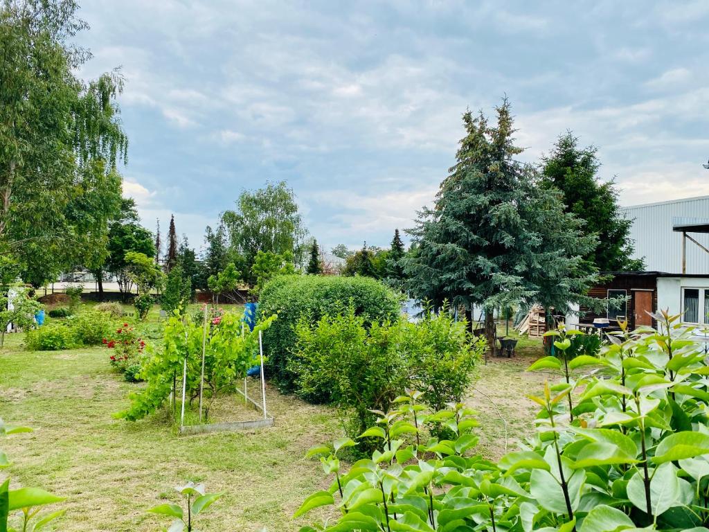 Zahrada ubytování Pension Florion
