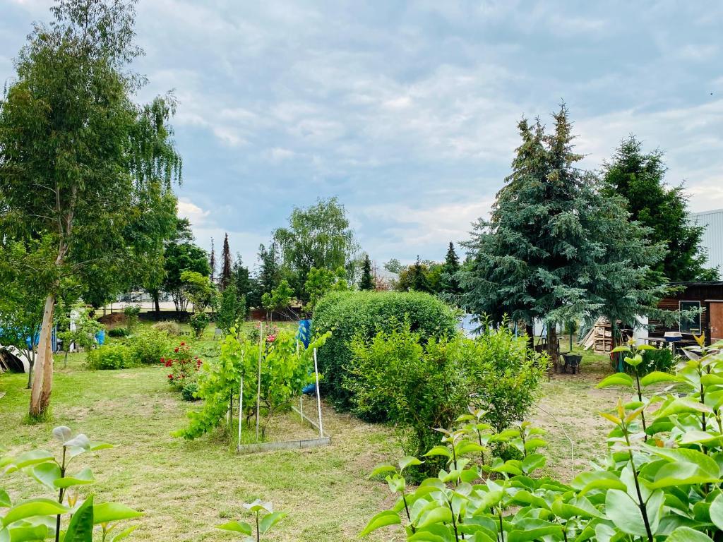 Zahrada ubytování Pension Florion