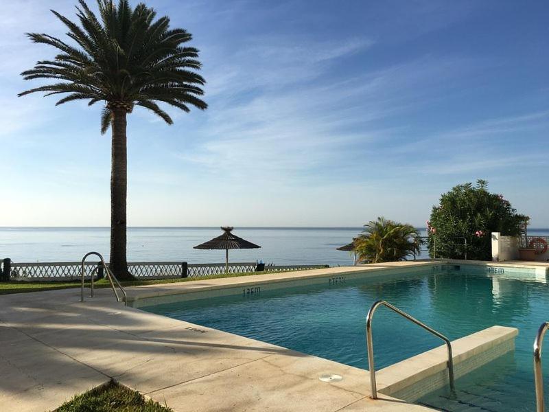 een zwembad met een palmboom en de oceaan bij ACAPULCO PLAYA -Nerja in Nerja