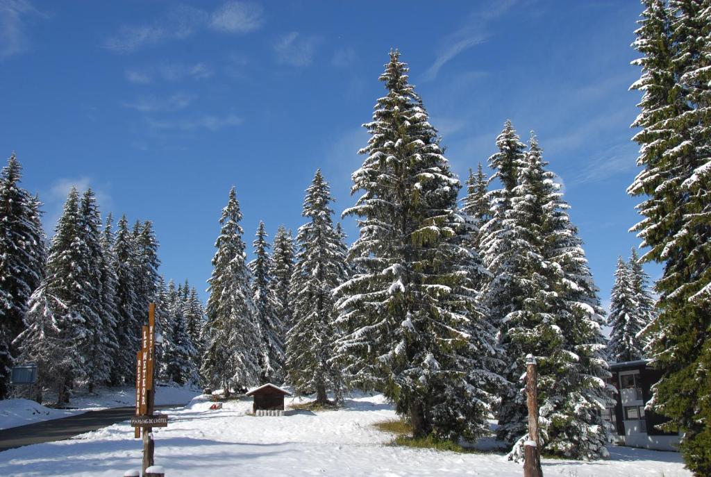 Fotografie z fotogalerie ubytování Hôtel Chalet Le Caribou v destinaci Les Saisies