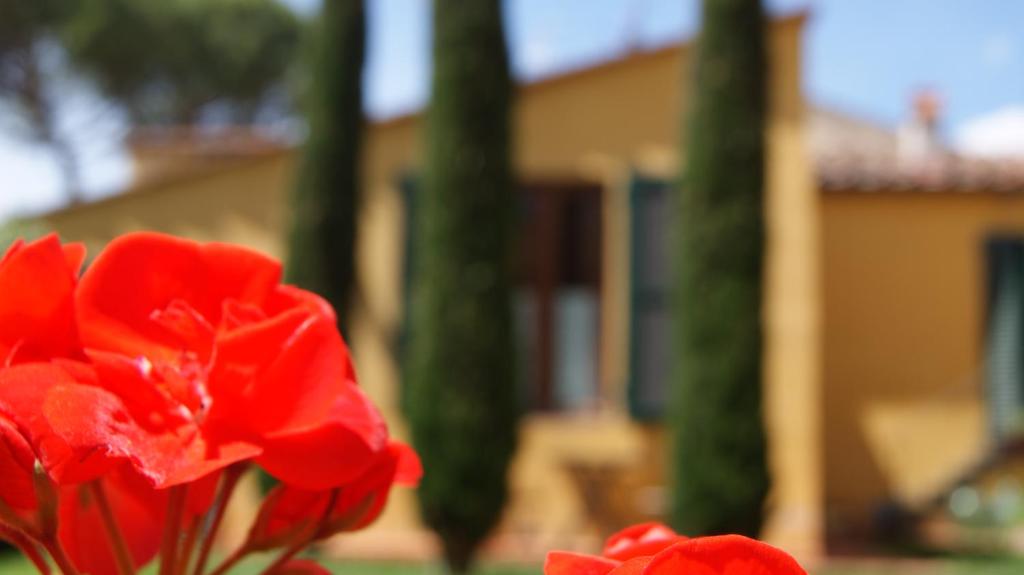 A garden outside Al Canto B&B