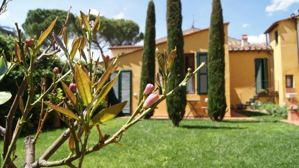 A garden outside Al Canto B&B