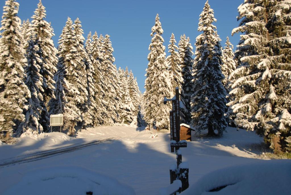Fotografie z fotogalerie ubytování Hôtel Chalet Le Caribou v destinaci Les Saisies