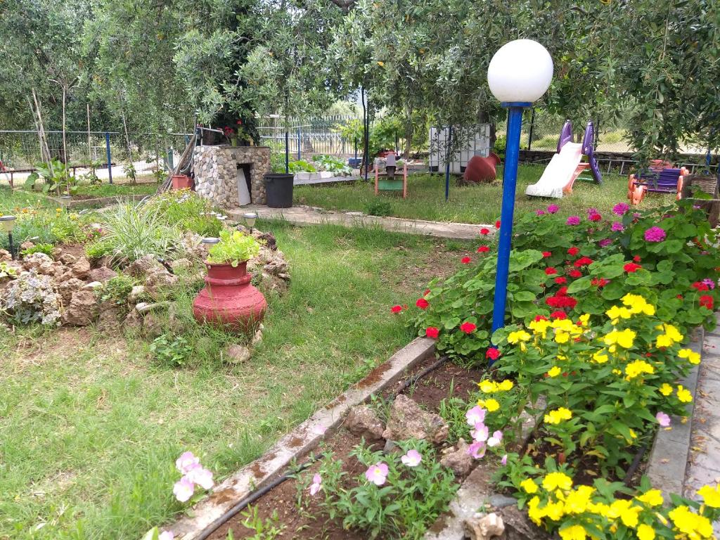 Zahrada ubytování Sea View Bungalows