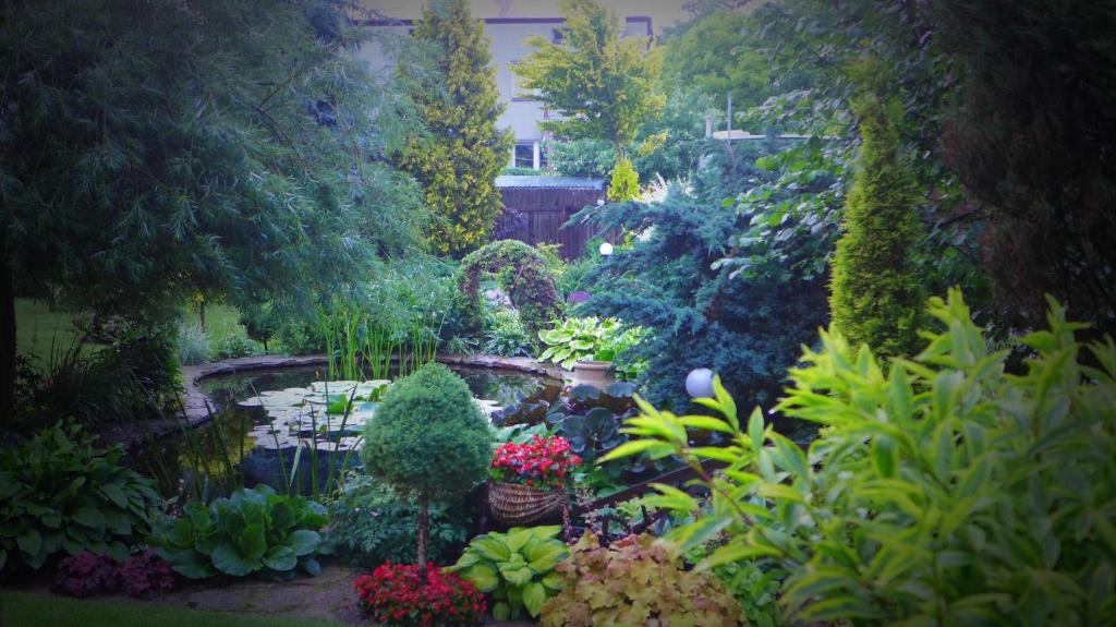a garden with a pond and many plants and flowers at Apartamenty i pokoje u Beaty in Augustów