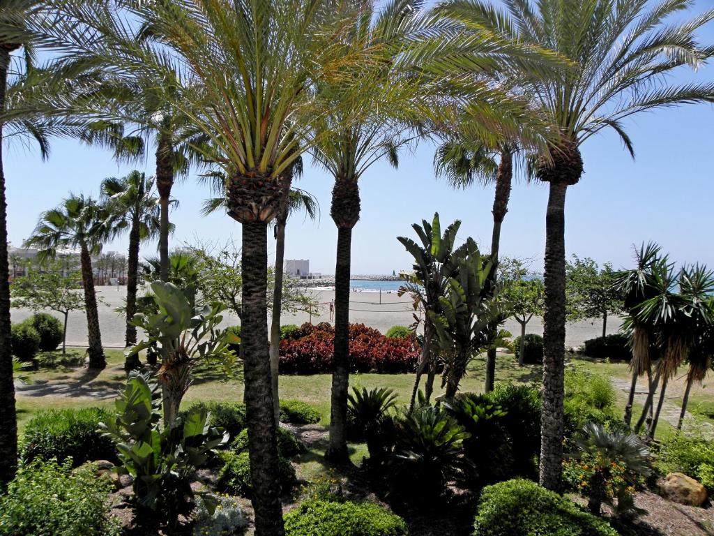 A garden outside JSM Apartamentos
