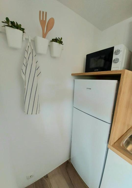 Kuchyň nebo kuchyňský kout v ubytování Mobile homes Charly