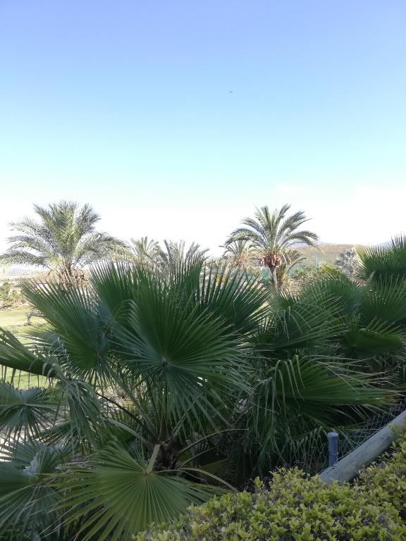 Vonkajšia záhrada v ubytovaní BAJO con JARDÍN PROPIO EN VALLE DEL ESTE GOLF!!