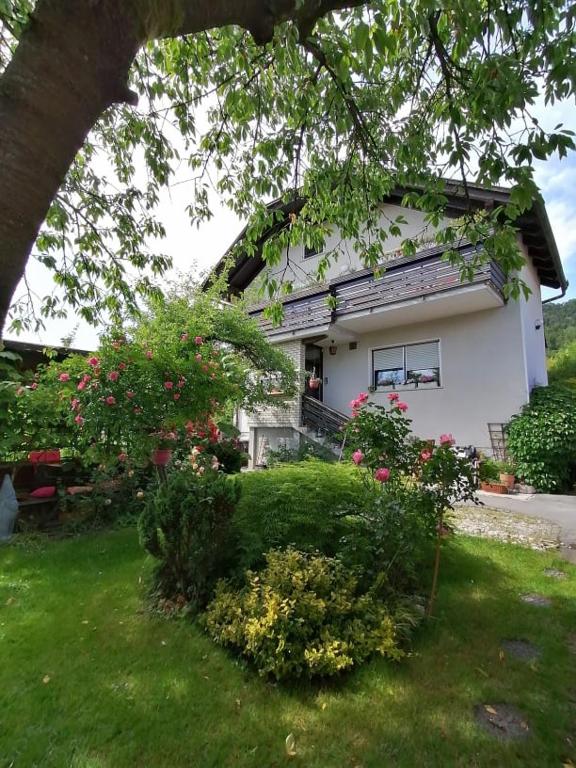 Zahrada ubytování Apartment Tatjana