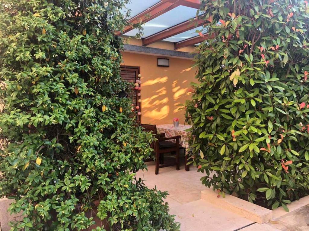 un giardino con due grandi alberi verdi e un tavolo di Villa Dolores a Rovigno (Rovinj)