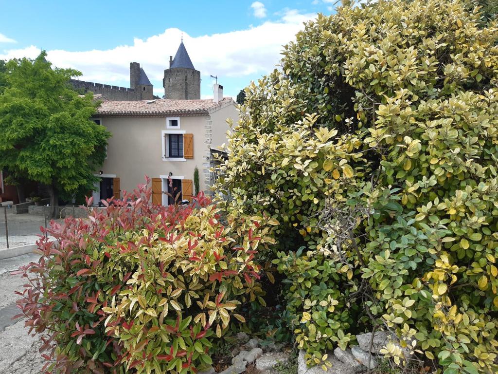 un gran arbusto con flores frente a una casa en Domaine Fontgrande Gîte, en Carcassonne