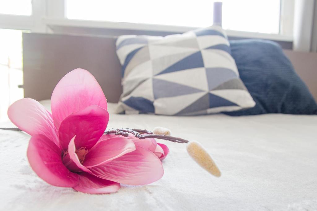 コウォブジェクにあるPokoje Gościnneのベッドの上に座るピンクの花