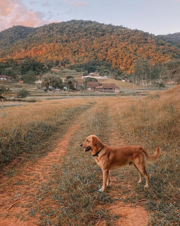  Recanto do Vale