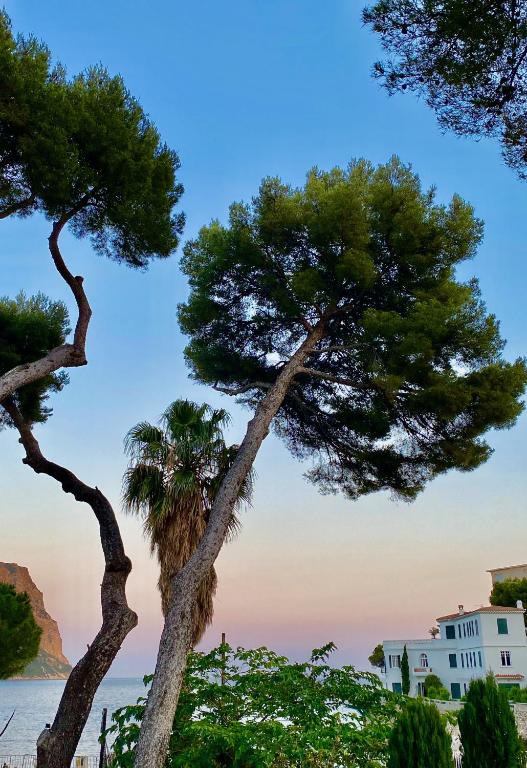 a group of trees and a house on the beach at Le Jardin d&#39;Emile in Cassis