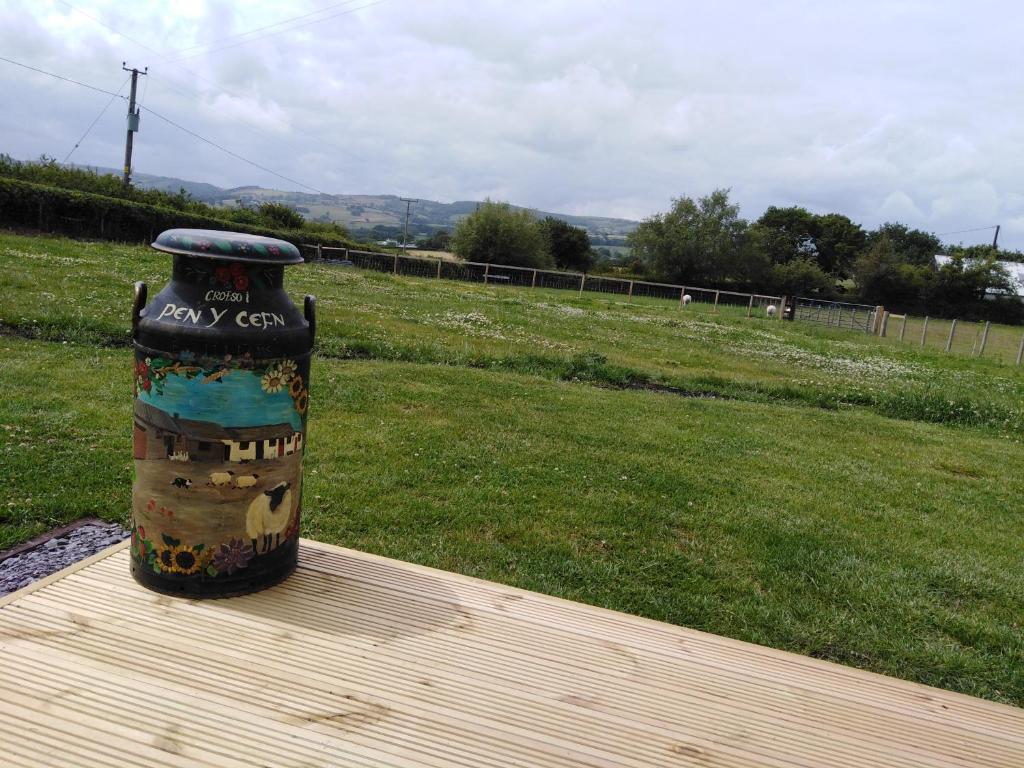 eine Vase auf einem Holztisch auf einem Feld in der Unterkunft Cwtch Winnie Shepherd's Hut- Pen Cefn Farm Holiday in Abergele
