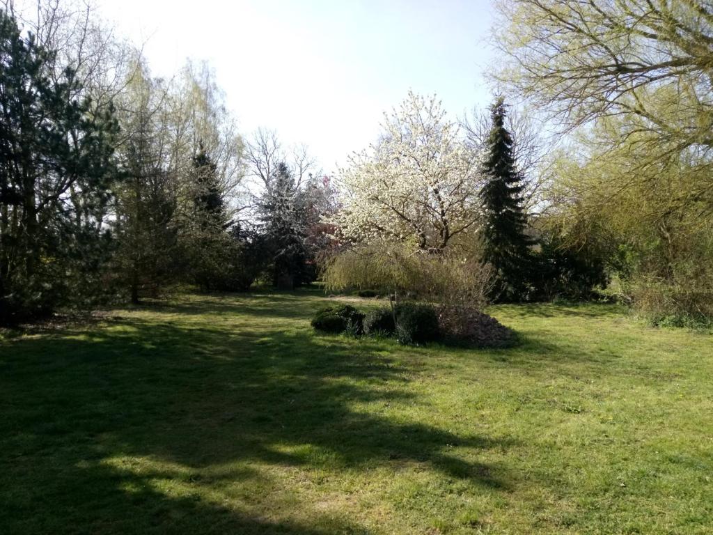 Zahrada ubytování Hotel Leppiner Hof - B&B FRÜHSTÜCKSPENSION