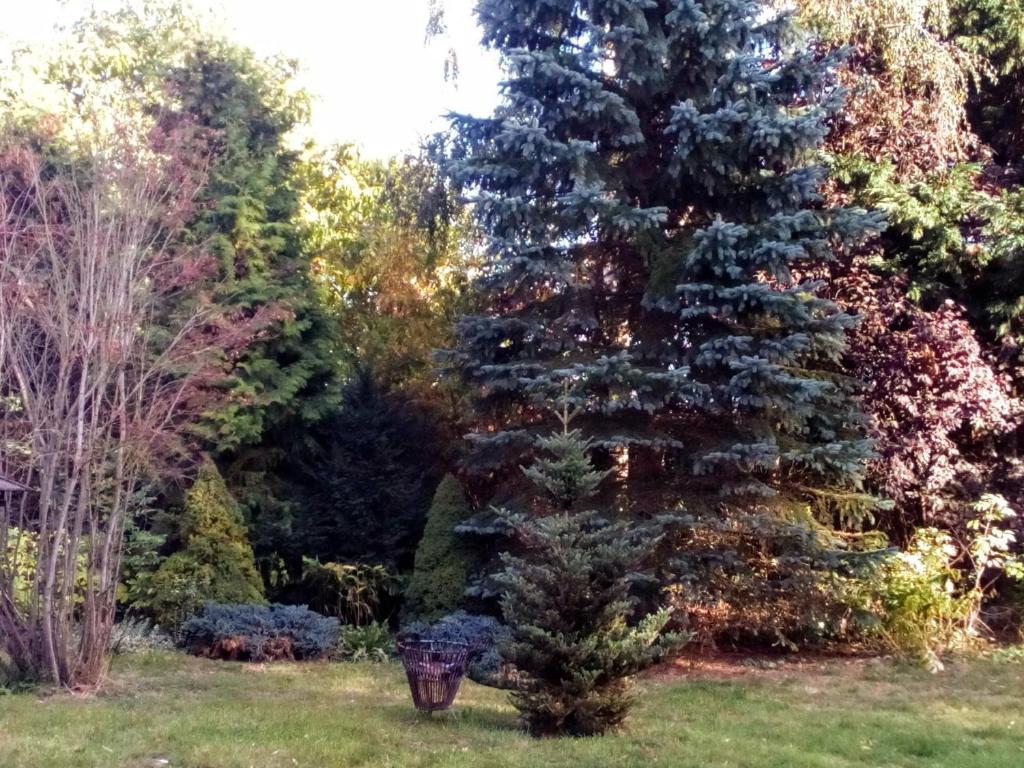 Zahrada ubytování Hotel Leppiner Hof - B&B FRÜHSTÜCKSPENSION
