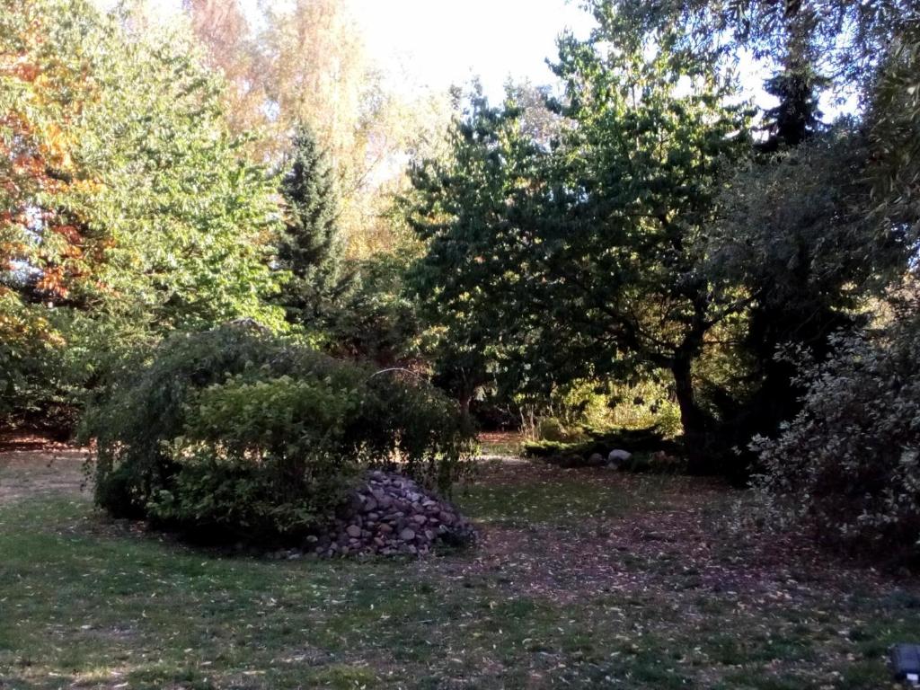 Zahrada ubytování Hotel Leppiner Hof - B&B FRÜHSTÜCKSPENSION