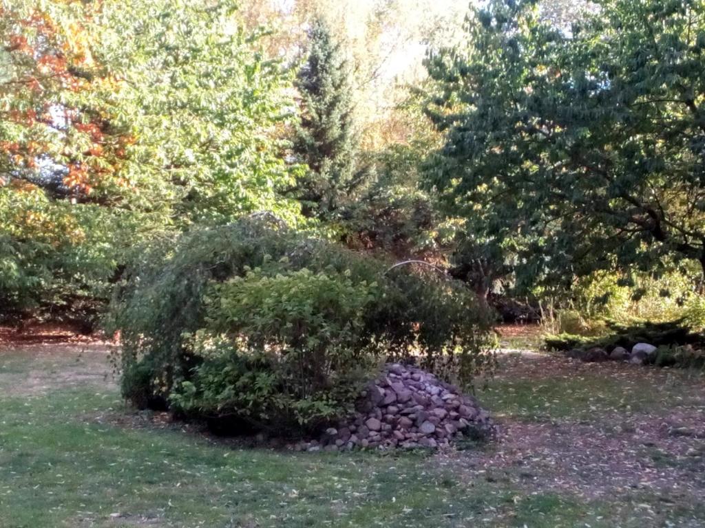Zahrada ubytování Hotel Leppiner Hof - B&B FRÜHSTÜCKSPENSION