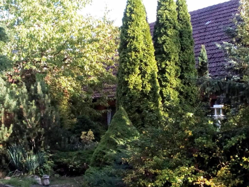 Zahrada ubytování Hotel Leppiner Hof - B&B FRÜHSTÜCKSPENSION