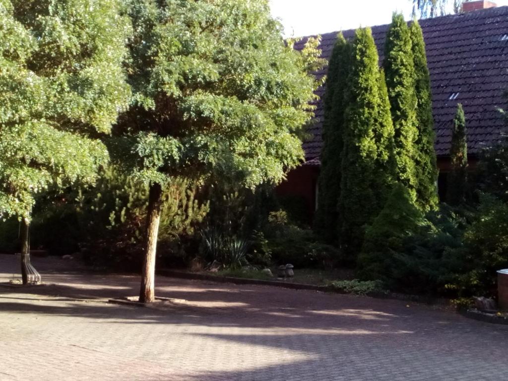 Zahrada ubytování Hotel Leppiner Hof - B&B FRÜHSTÜCKSPENSION