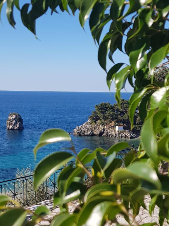 uma vista para o oceano a partir de uma árvore em Sea Bliss Adults Only em Parga