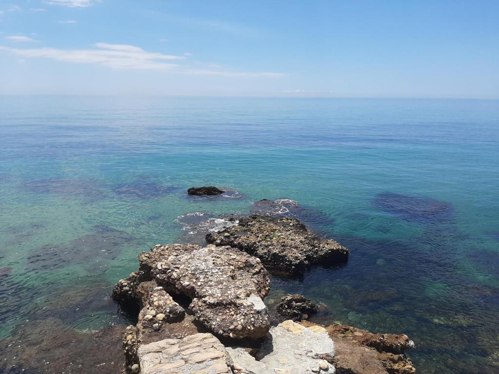 Príroda v okolí apartmánu