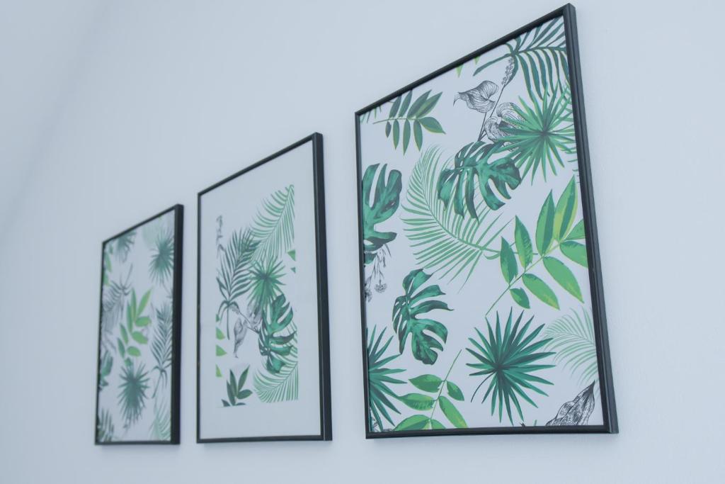 Apartamenty Pawełek - 11