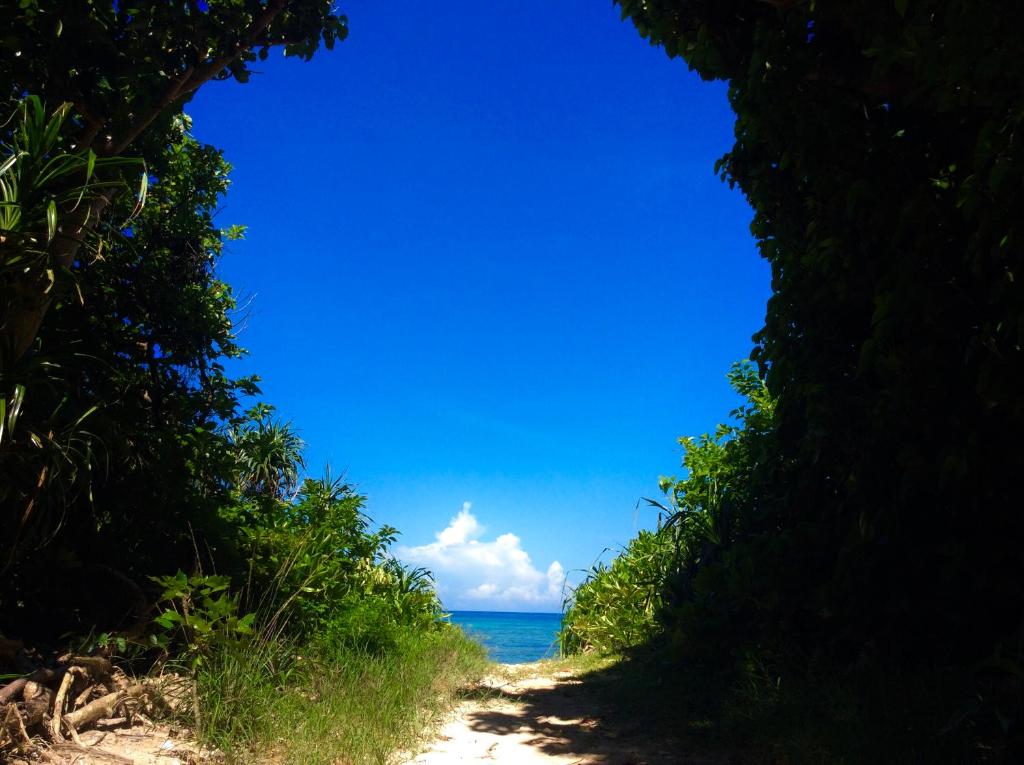 einen Blick auf den Ozean durch eine Lücke in den Bäumen in der Unterkunft YOISAMA Sunset Beach House in Ishigaki-jima