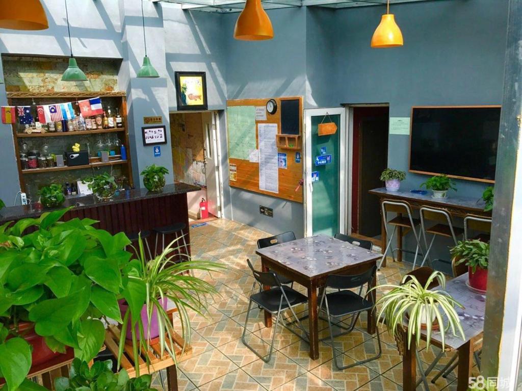 a room with a table and some plants in it at LETE Hostel in Xining
