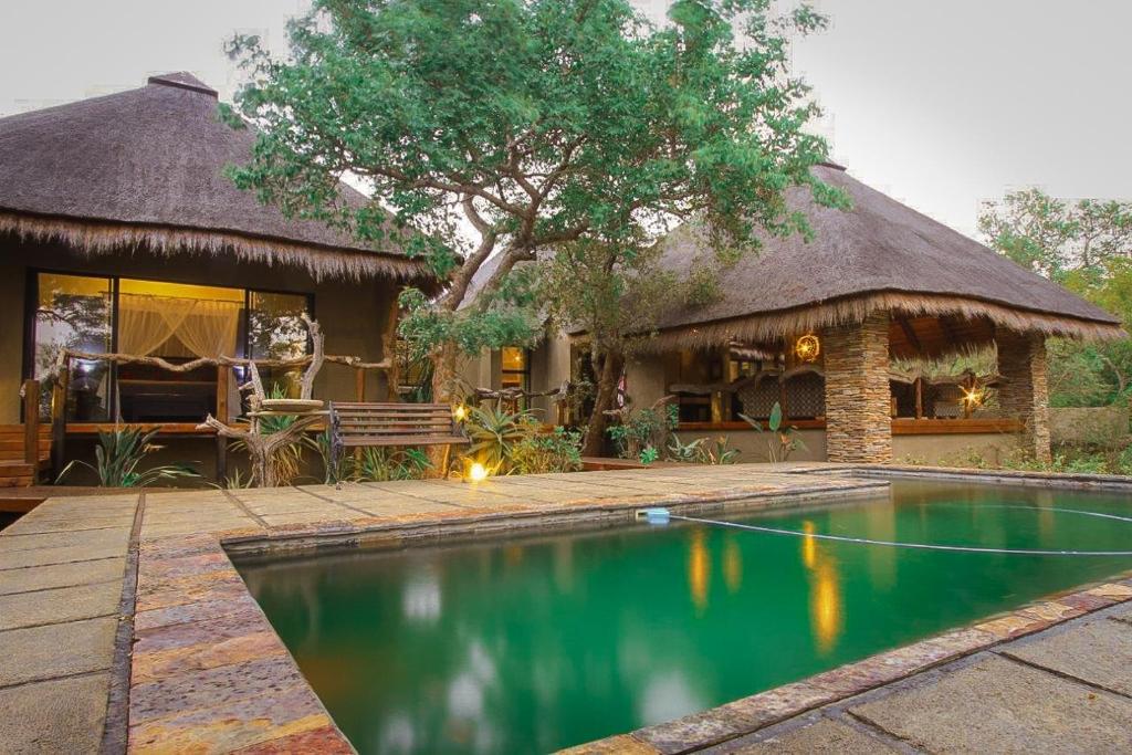 a hut with a swimming pool in front of a house at Call of the Wild Lodge in Hoedspruit