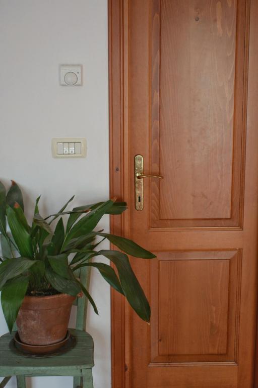 a wooden door with a potted plant on a table at Apartma Raft, Bovec in Bovec