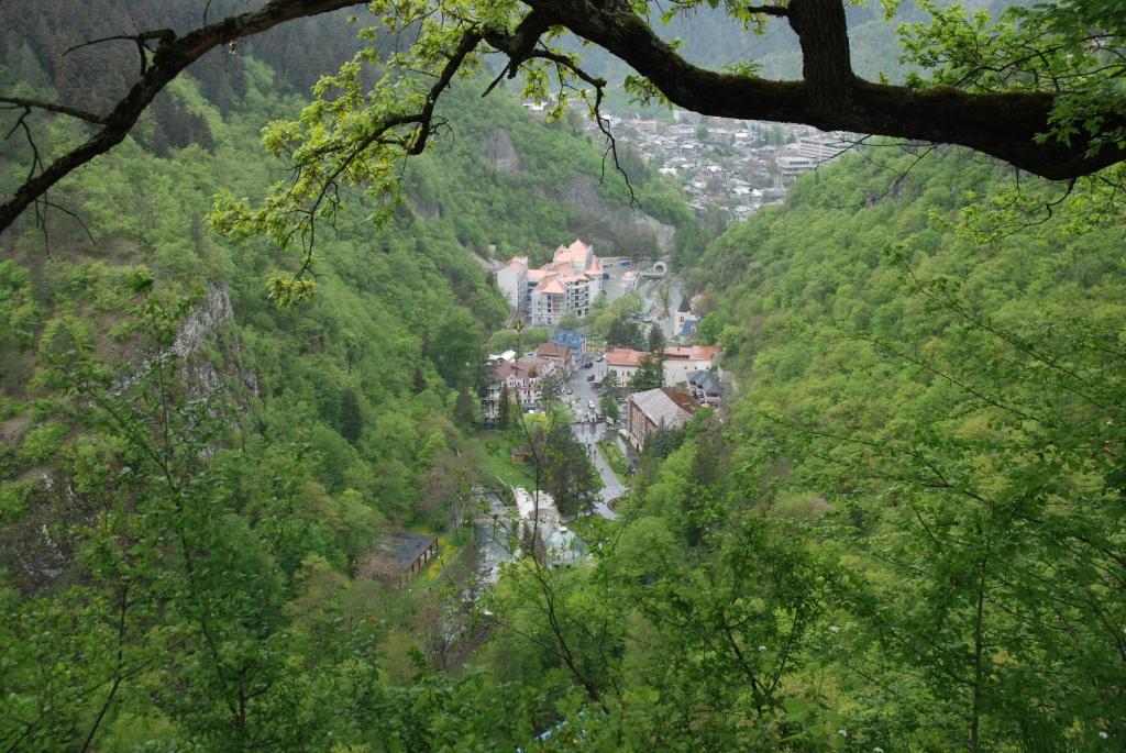 a small town in the middle of a mountain at Borjomi Central Park Apartment in Borjomi